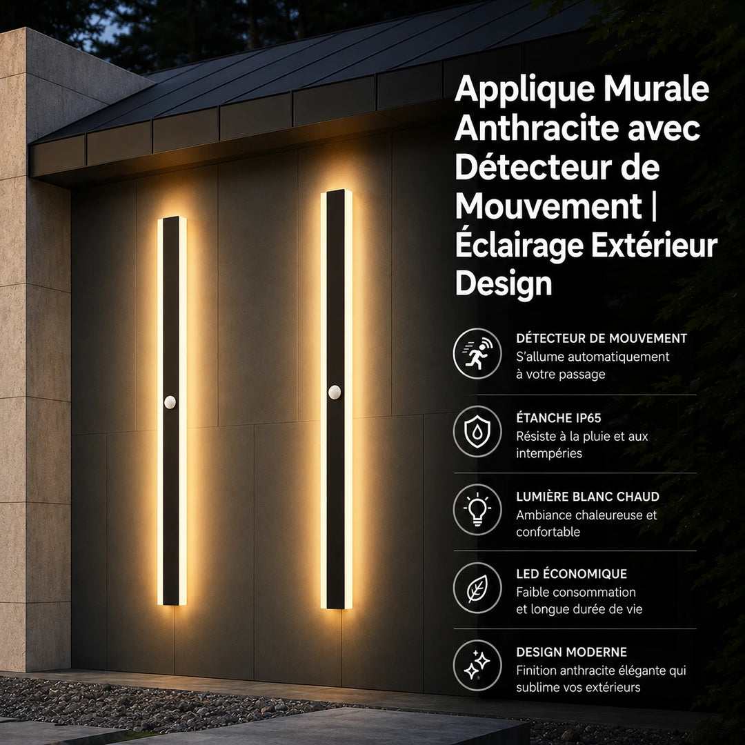 Applique Murale Anthracite avec Détecteur de Mouvement | Éclairage Extérieur Design