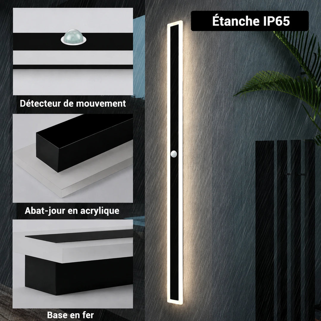 Applique Murale Anthracite avec Détecteur de Mouvement | Éclairage Extérieur Design